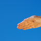 iStock